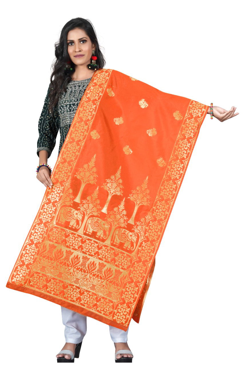 Banarasi Silk Fancy Wear Designer Dupatta Collection